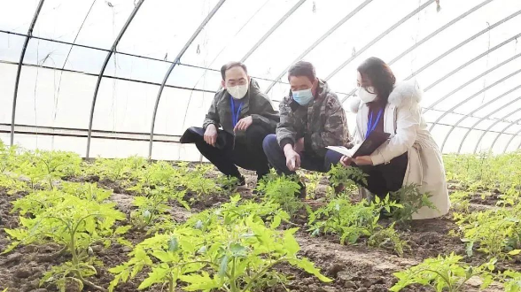 镜头丨下沉一线强监督 不误农时护生产